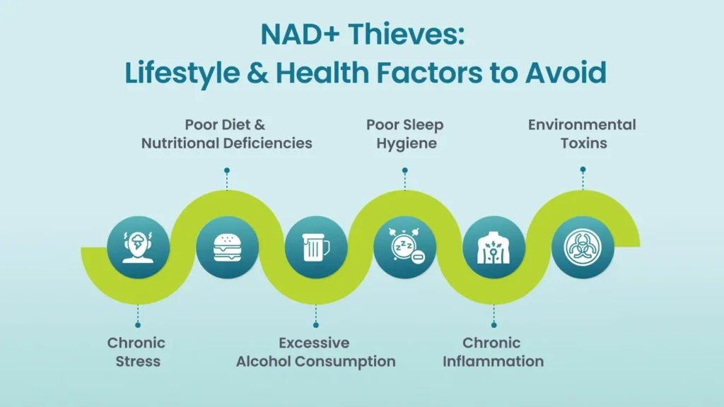 Lifestyle habits that support healthy NAD+ levels.