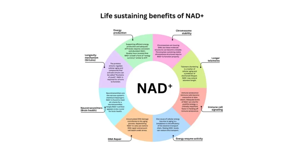Chart showing the main benefits of NAD treatment.