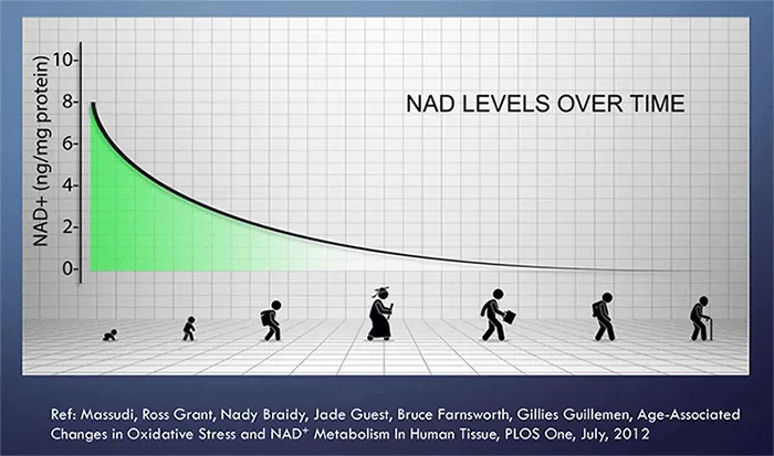 Graph showing how NAD+ levels decline over time.